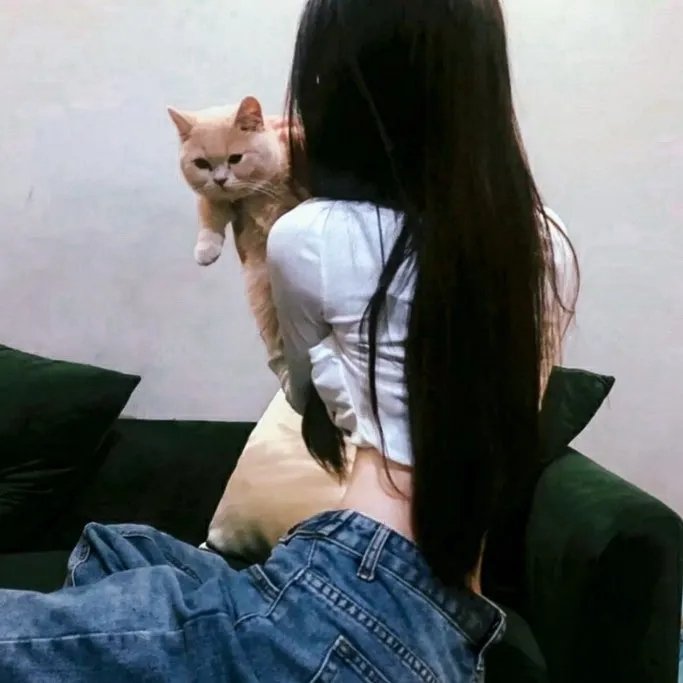 猫和老鼠50周年纪念版